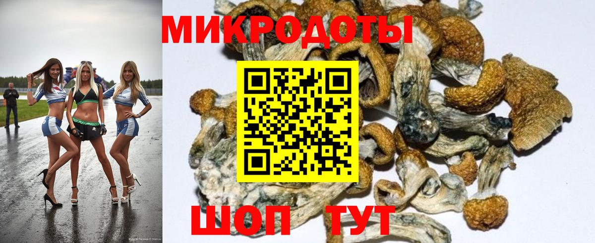 Псилоцибиновые грибы Cubensis Щёлково