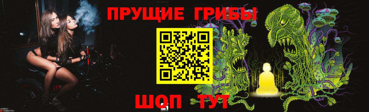 Псилоцибиновые грибы Cubensis  Вход с VPN  Щёлково 